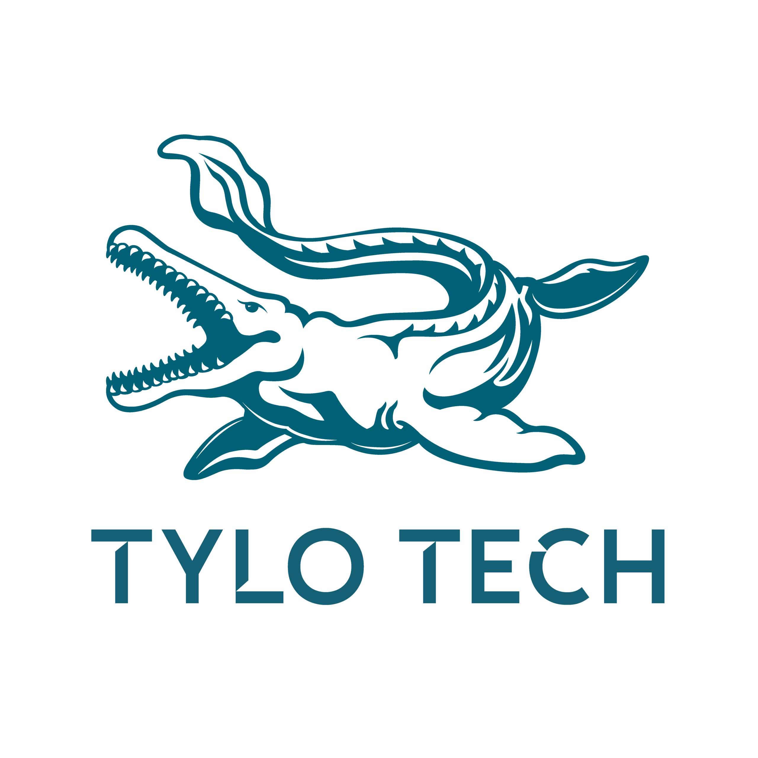 tylo-tech.com
